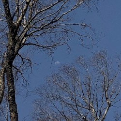 NMB (Noon Moon Beam)