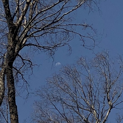 NMB (Noon Moon Beam)