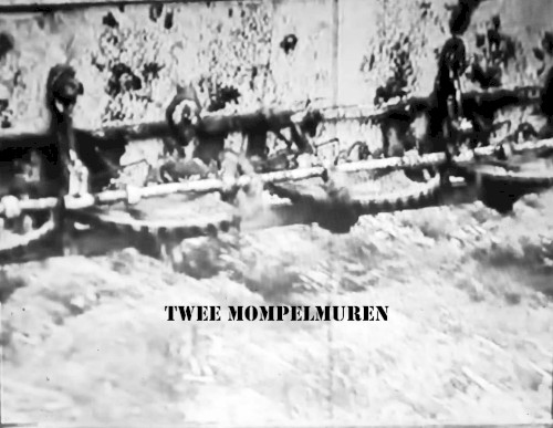 TWEE MOMPELMUREN