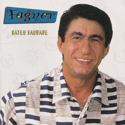 Bateu Saudade