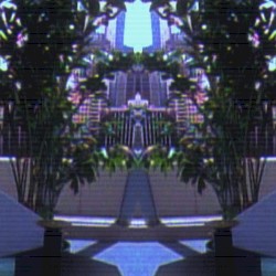 Hi-Rise Suites