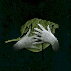 Подорожник