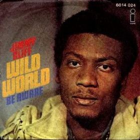 Wild World