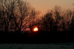 Winter Eternal