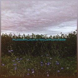 floodplain // wildflowers