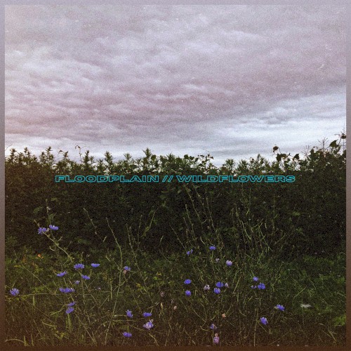 floodplain // wildflowers
