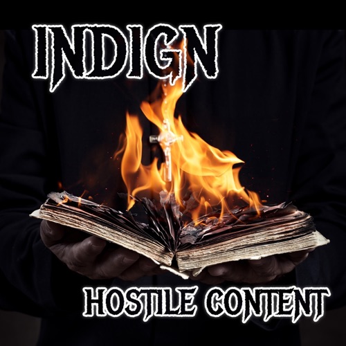 Hostile Content (Single)