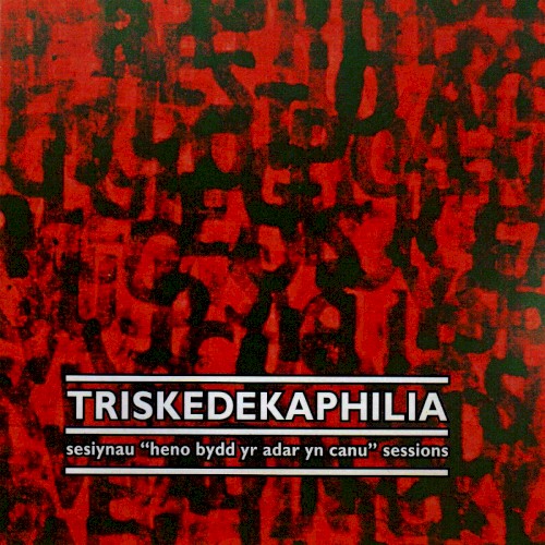 Triskedekaphilia