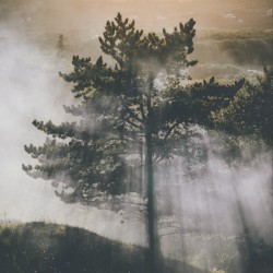A New Rhythm, A New Sound