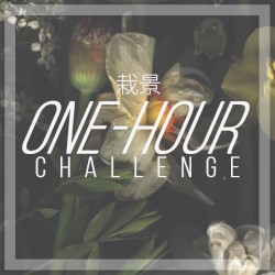 One-Hour Challenge