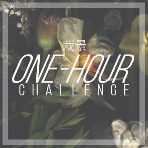 One-Hour Challenge