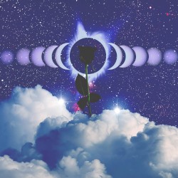 Death of Naivety