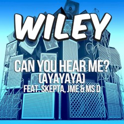 Can You Hear Me? (Ayayaya)