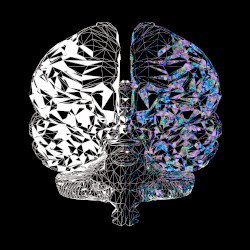 Dual-Brained²