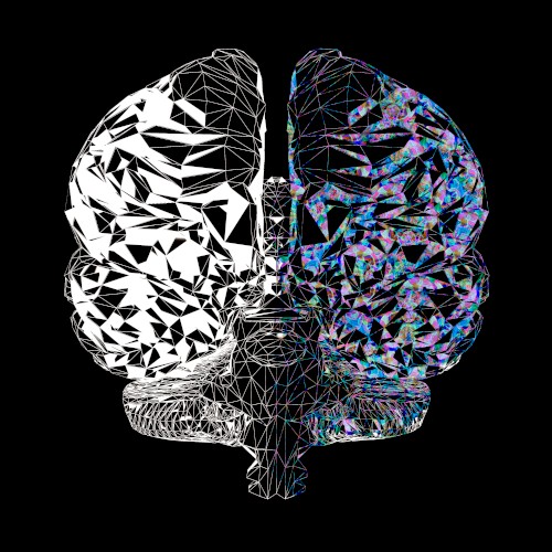 Dual-Brained²