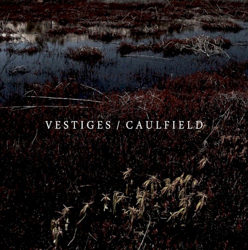Vestiges / Caulfield