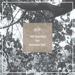 水声：Field Recordings from Japonesian Shelf