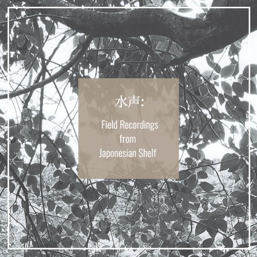 水声：Field Recordings from Japonesian Shelf