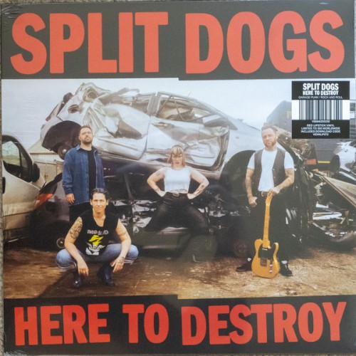 Here To Destroy