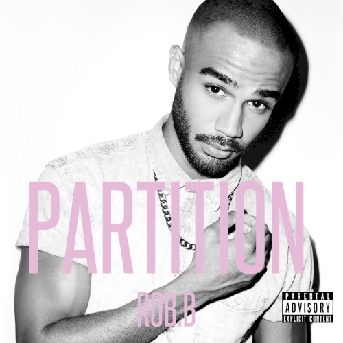 Partition