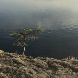 Midnight Sun 4 B