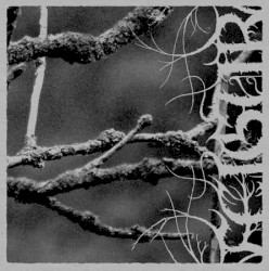II, Desolation