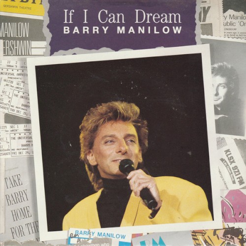 If I Can Dream