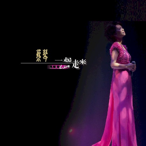 一起走來 (2001香港紅磡演唱會 (Live))