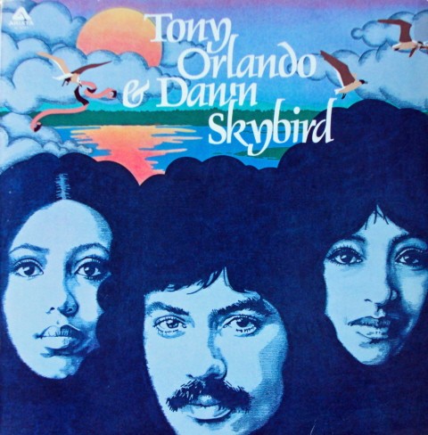 Skybird