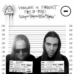 ?mis sa tegid (Pedigree "Hägused Pildid" remix)