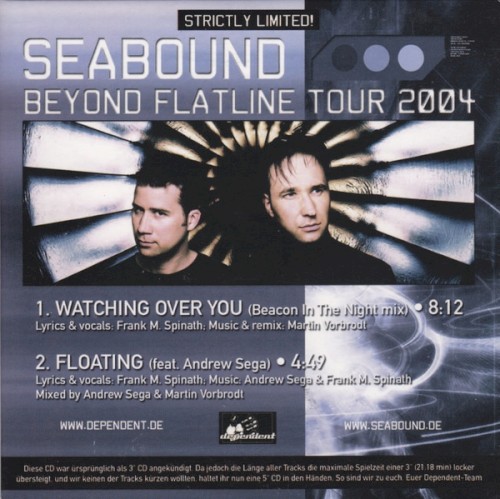 Beyond Flatline Tour 2004