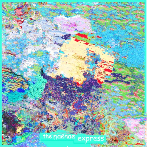 The Naenae Express Extended Player