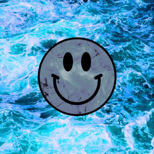 Waves (99jakes remix)