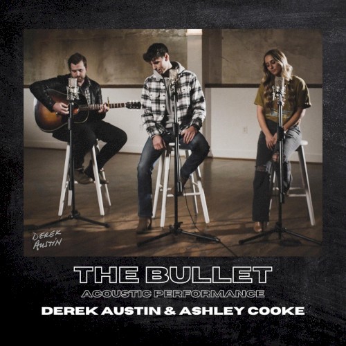 The Bullet (acoustic version)