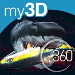 360° Sharks