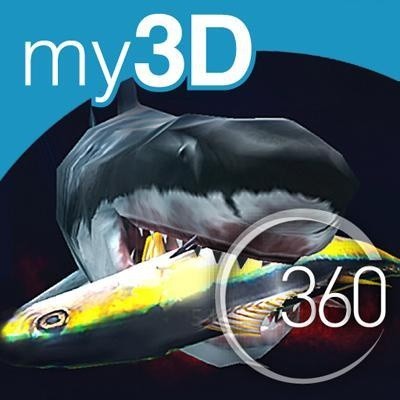 360° Sharks