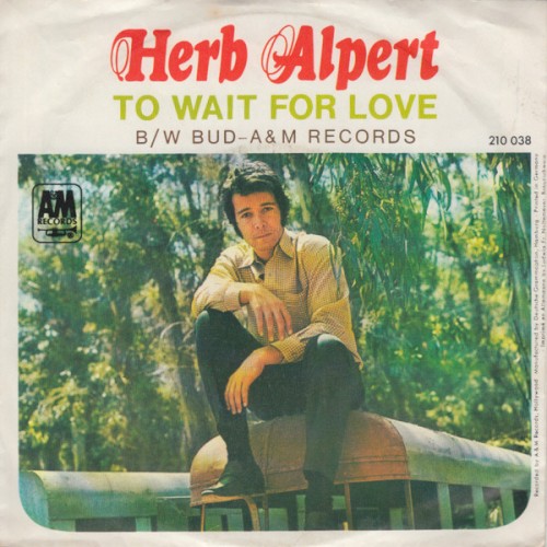 To Wait for Love / Bud