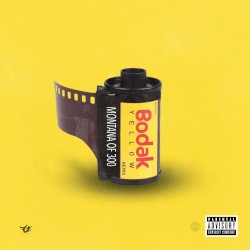 Bodak Yellow (Remix)