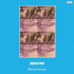 Mercury Coast