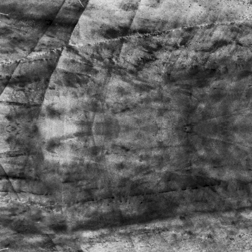 Field of Skin