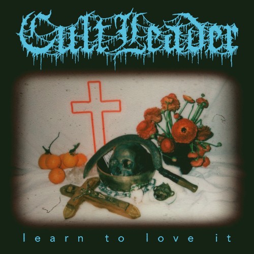 Learn to Love It