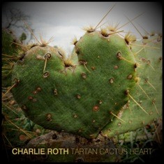 Tartan Cactus Heart