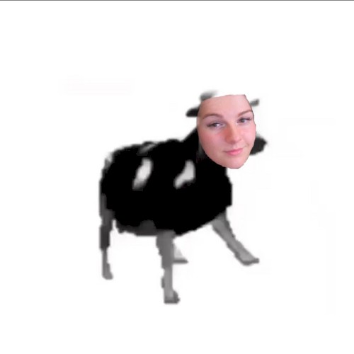 F1NN5TER DISSTRACK