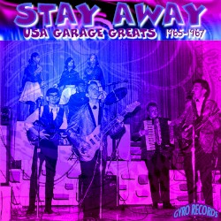 USA Garage Greats 1965-1967: Vol. 13: Stay Away