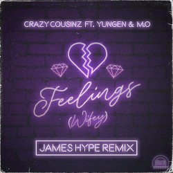 Feelings (Wifey)
