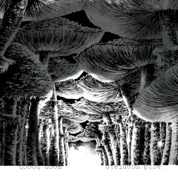 Acid Mountain