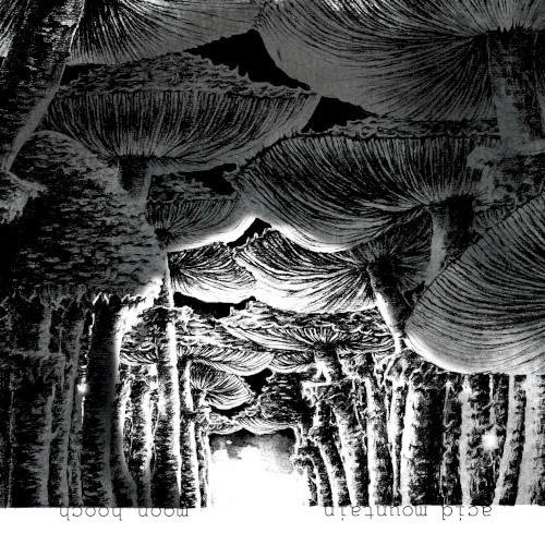 Acid Mountain