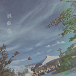 風船葛