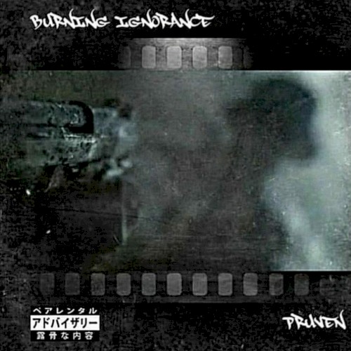 Burning Ignorance