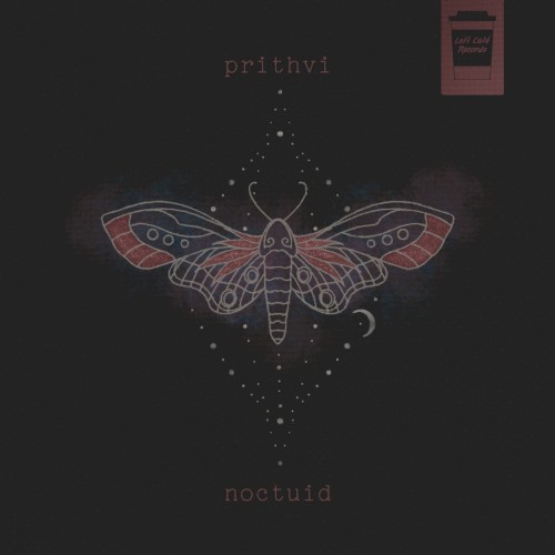 Noctuid
